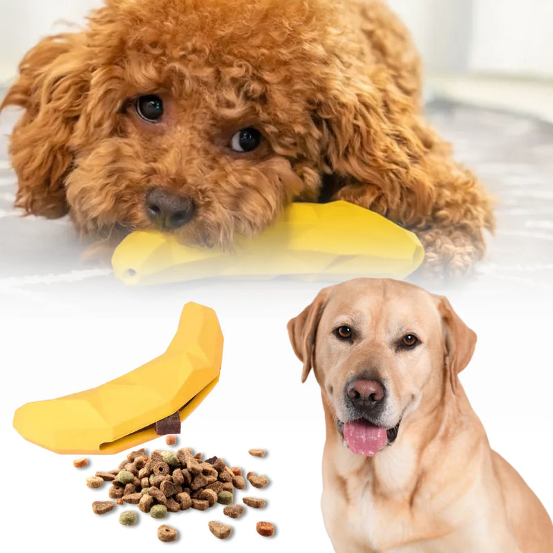 banana para pets