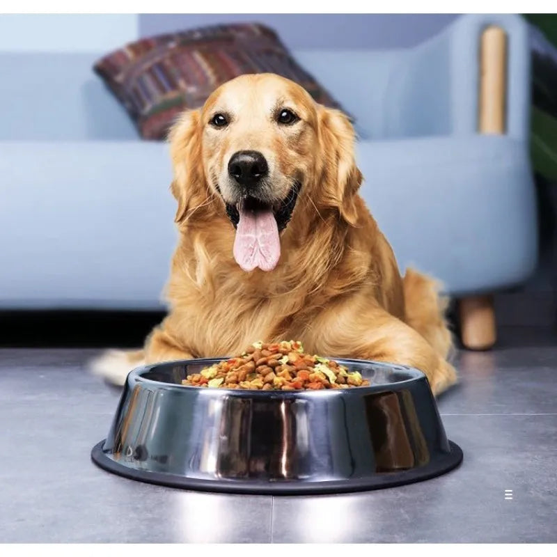 Comedouro para cães