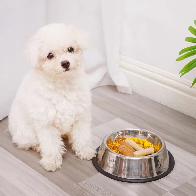 Comedouro para cães