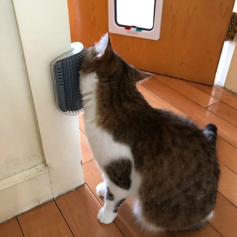 massageador para gatos